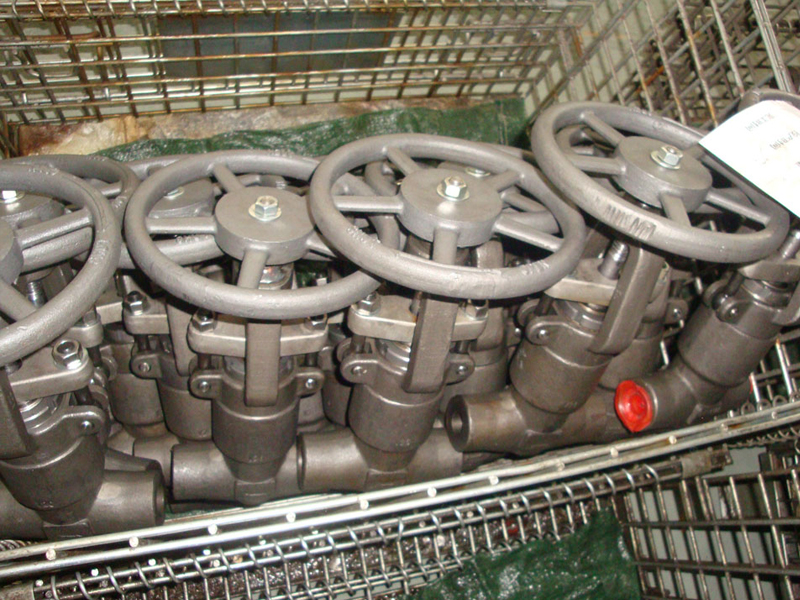 API602-fausia-umea-faitotoa-valves