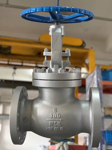 ASME-globe-valve-6-300