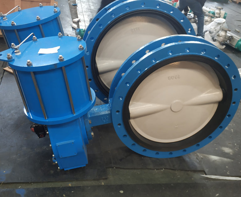 Butterfly Valve u տեսակը