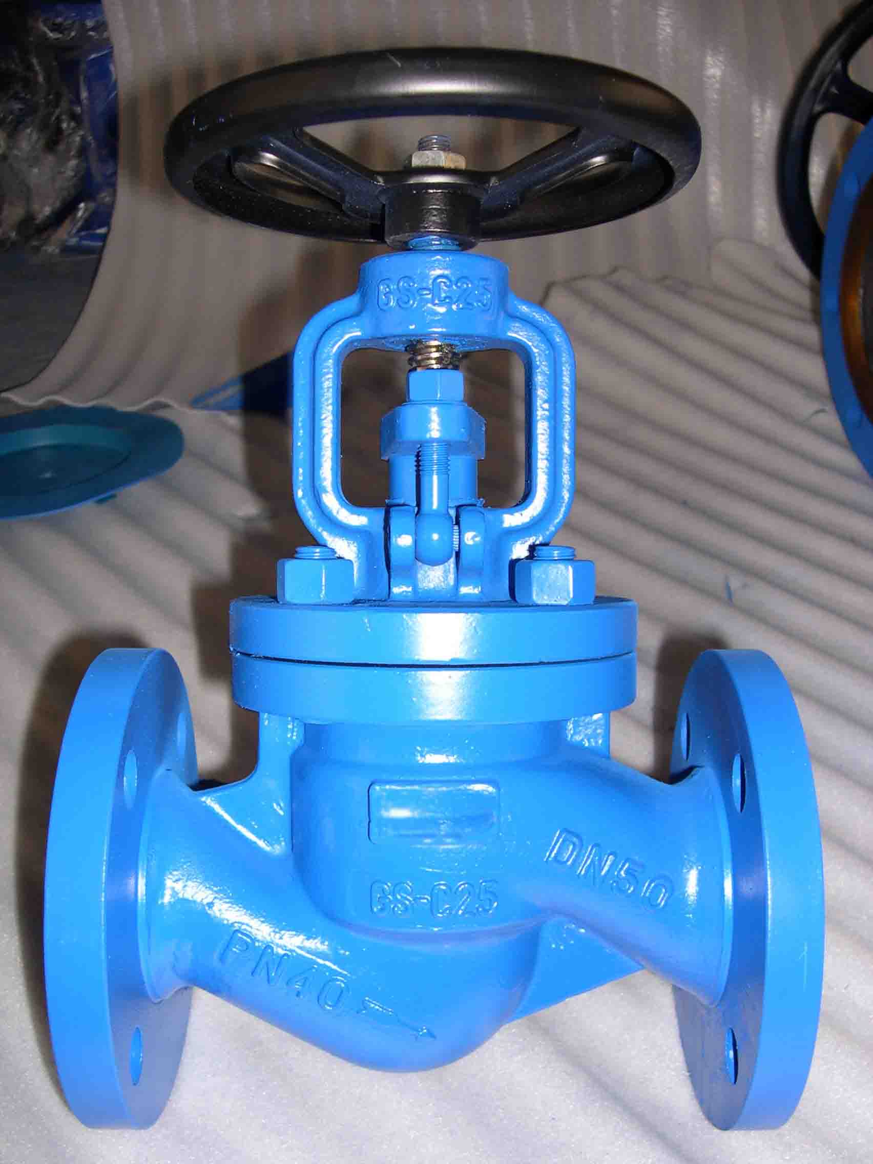 DIN-EN Globe Valve5