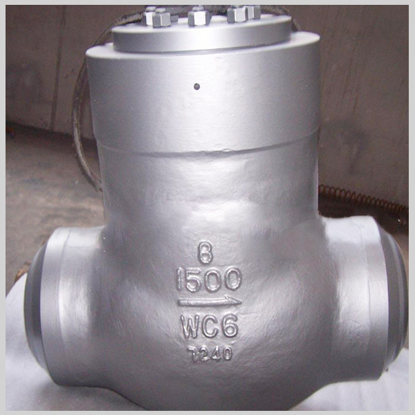 Pressure-Seal-Check Valve