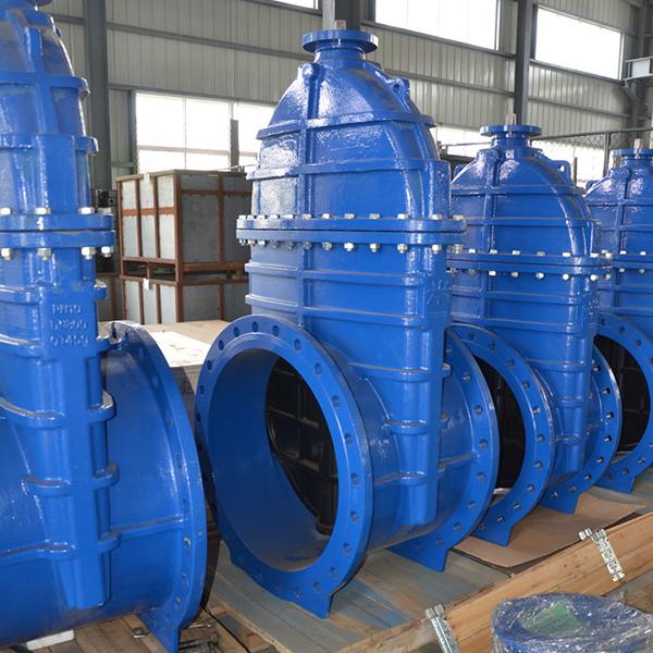 Resilient Seated Cast Iron gate valve3