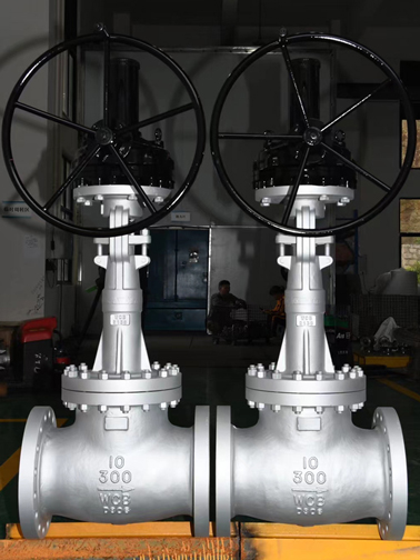 blews-seal-ASME-globe-valve-s