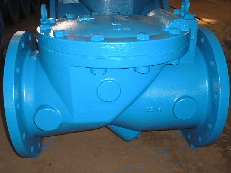 rubber disc swing check valve