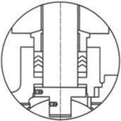 stem qarxinta proof01