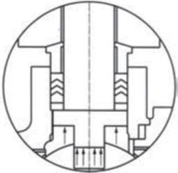 stem qarxinta proof02