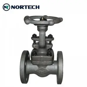 1500lbs rooj vag valve (2)