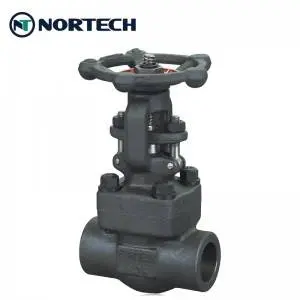 800lbs gate valve (1)