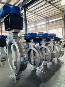 Double eccentric butterfly valve (2)