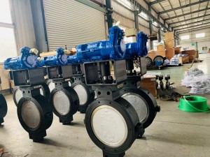 Dobleng sira-sira na butterfly valve (3)