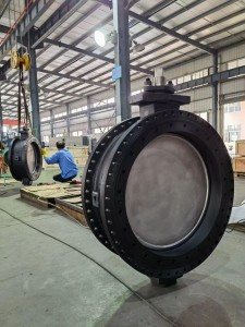 Double eccentric butterfly valve (5)