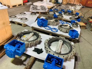 Double eccentric butterfly valve (6)