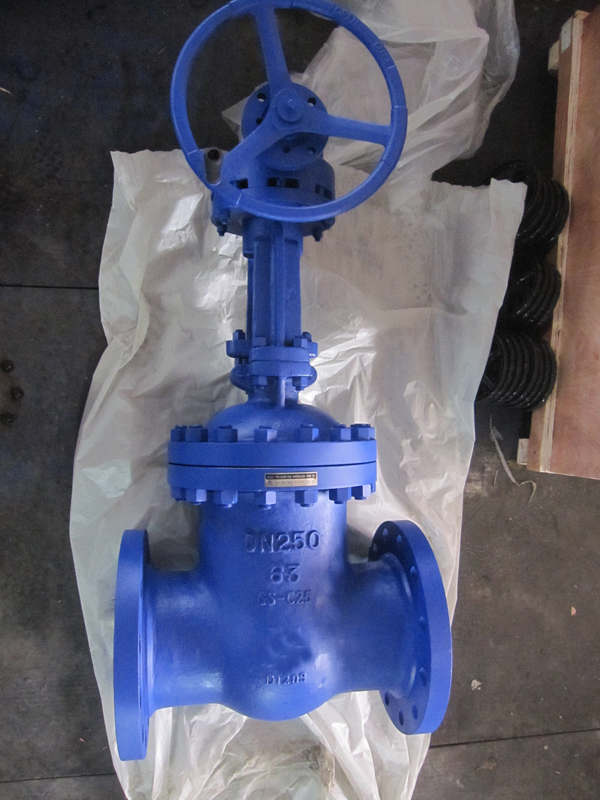 EN-gate-valve-DN250-PN63