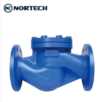 Lift Check Valve