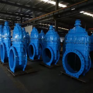Resilient Seated Cast Iron gate valve2