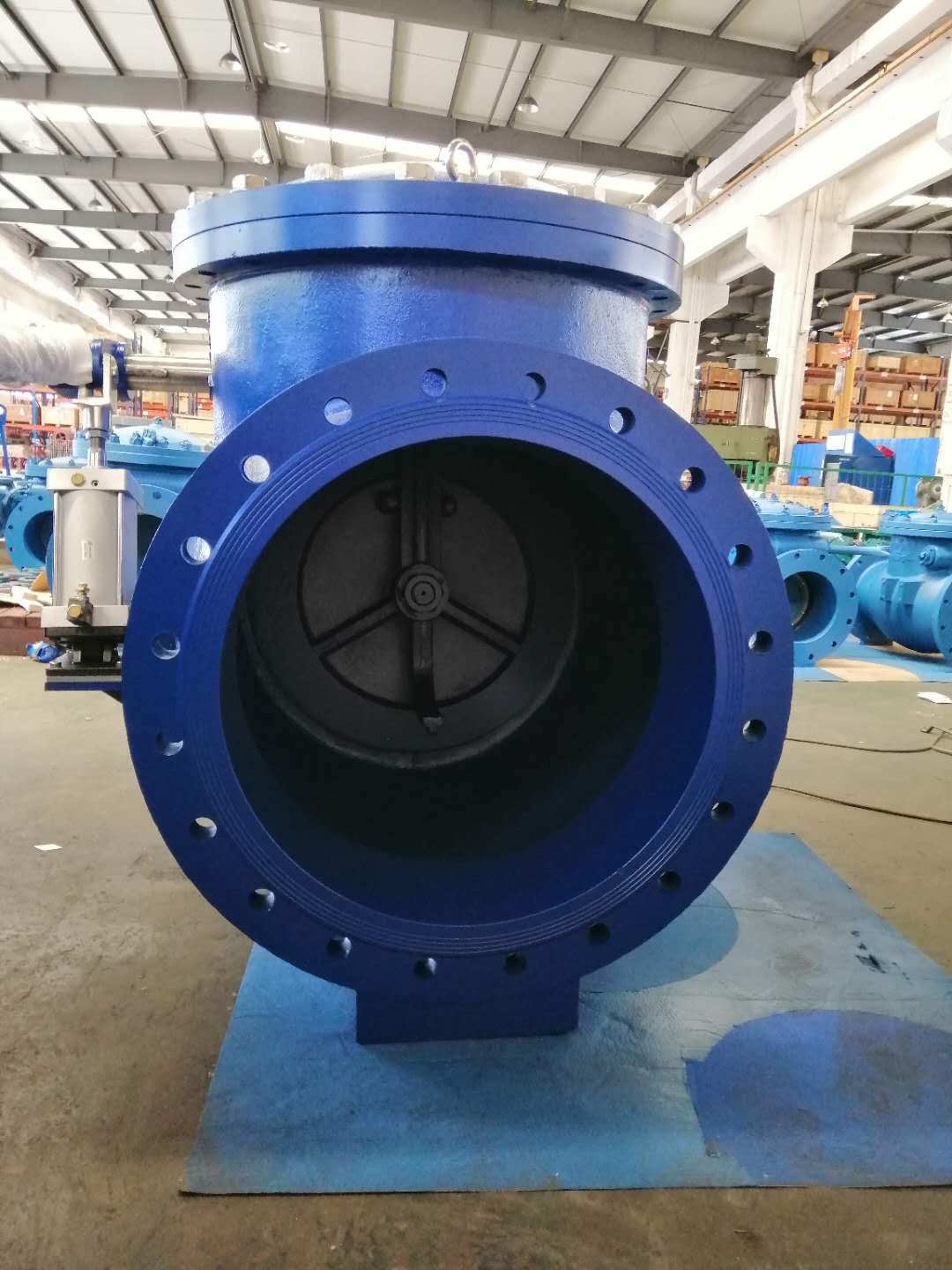 Swing check valve with counterweight