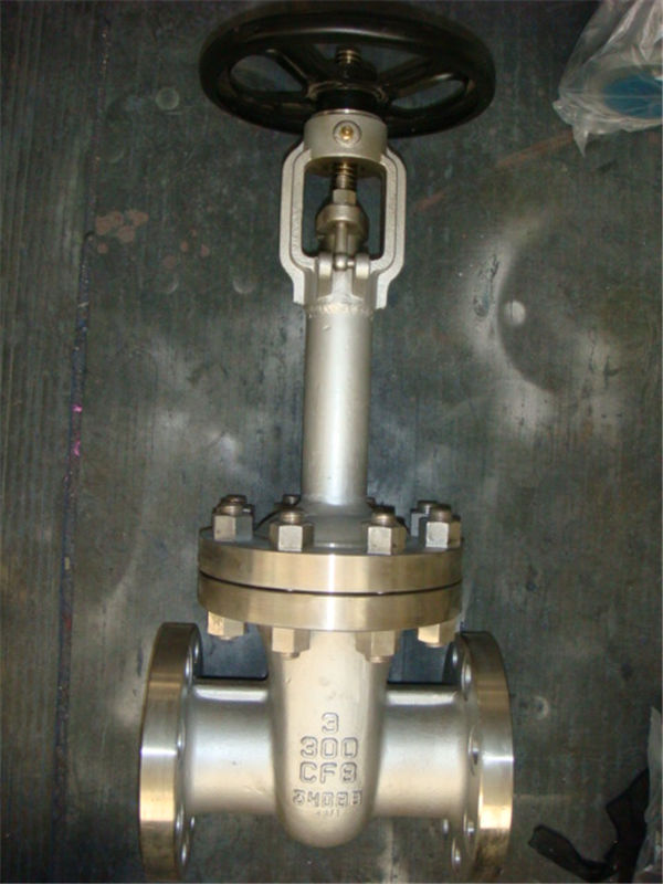 bellow gate valve 02