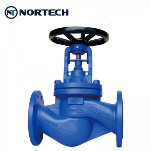 Bellow-globe-valve01