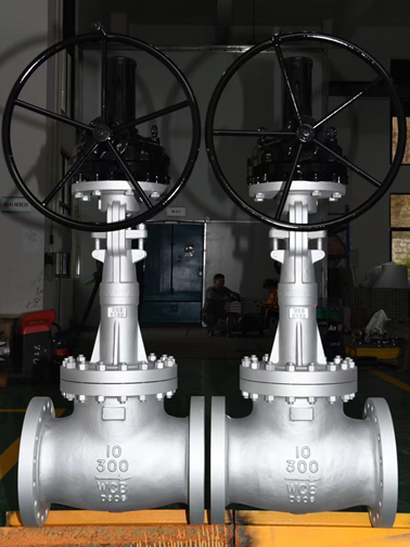 bellows-seal-ASME-globe-valve-s