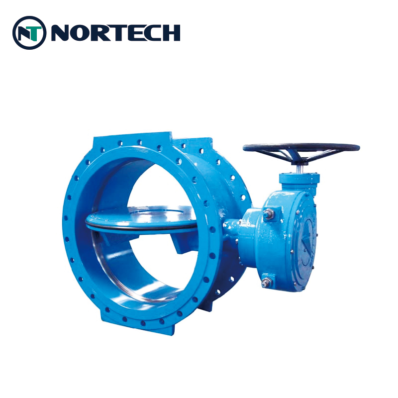 Double eccentric butterfly valve flange type 6