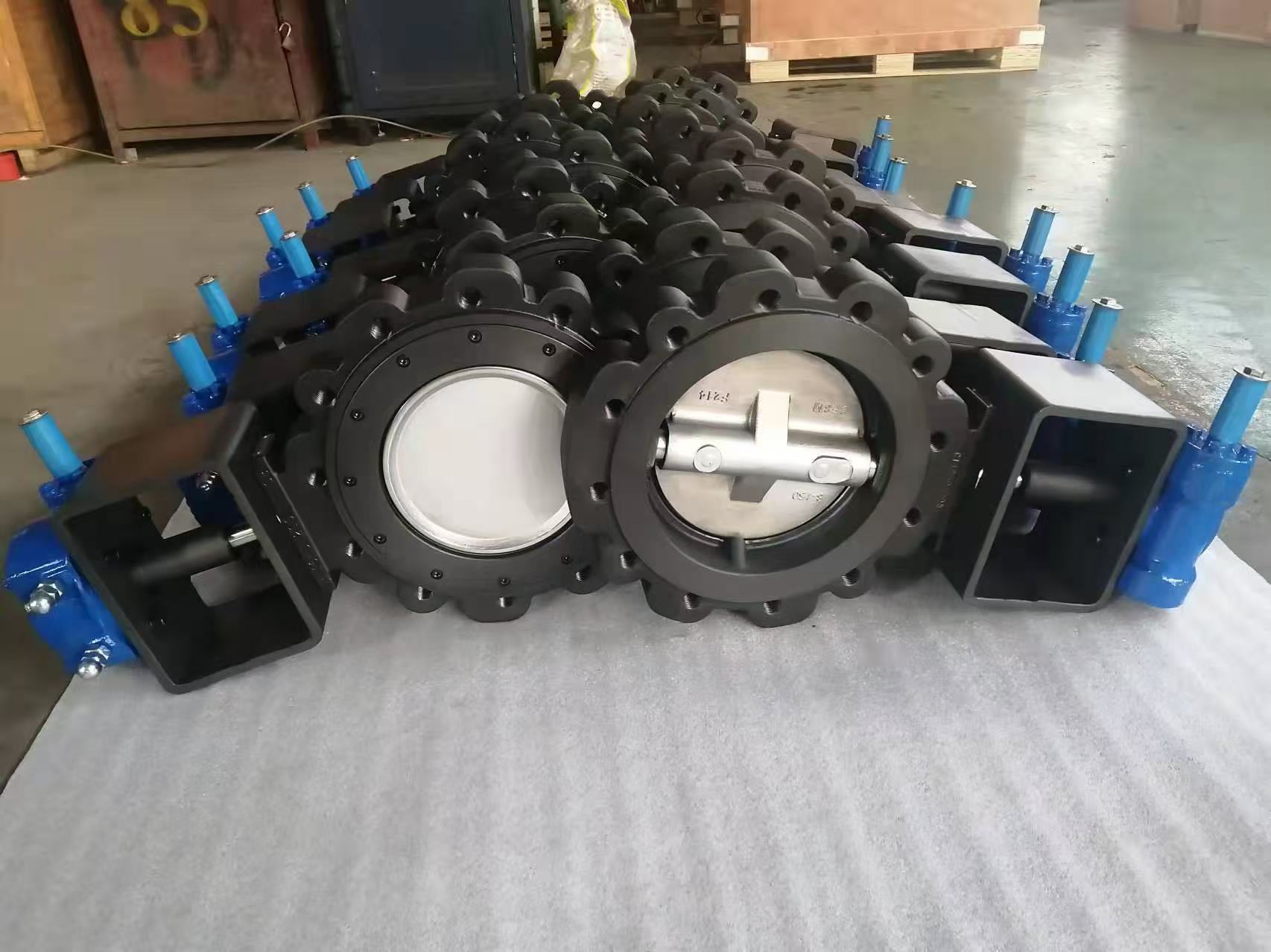 Double eccentric high performance butterfly valve lug type