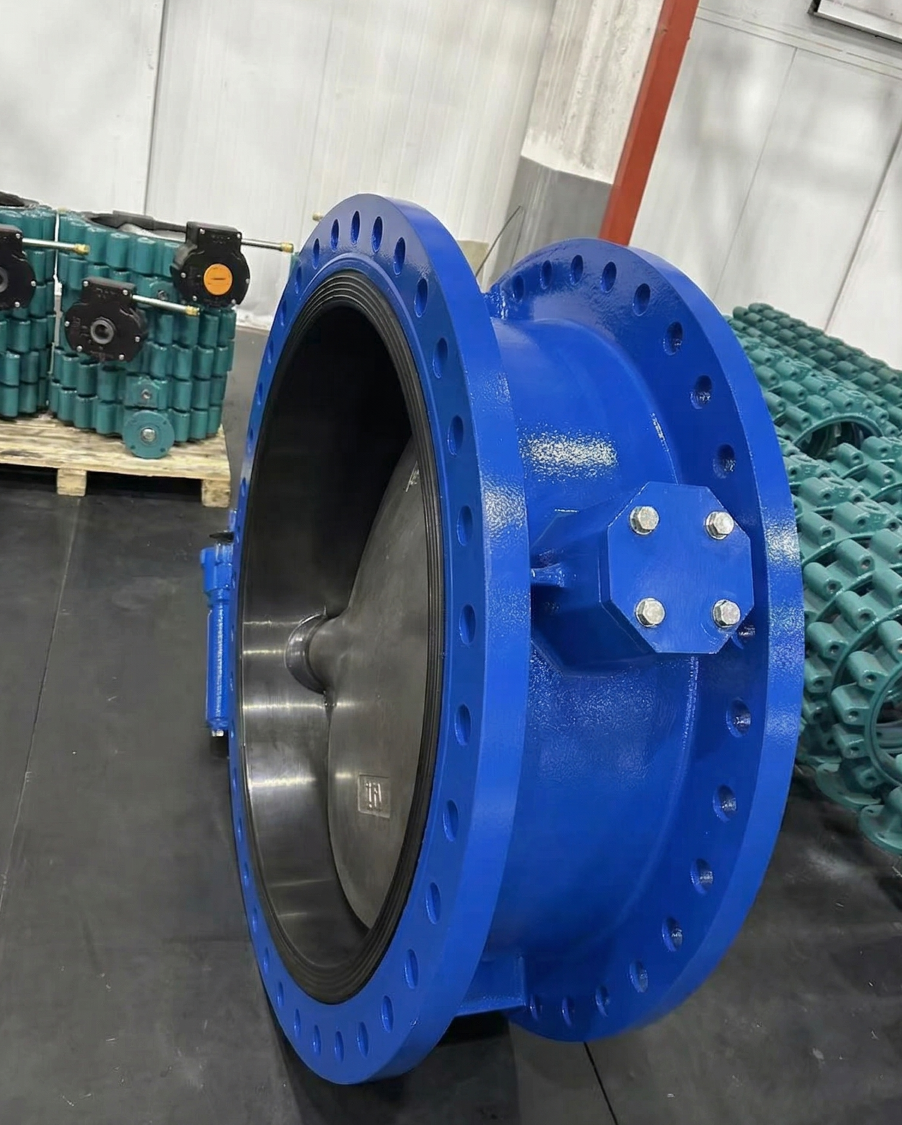 Double flange butterfly valve DN1000 side profile showing duplex 2507 stem gearbox operator and ductile iron body CX-H coating