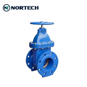 flange gate valve (3)