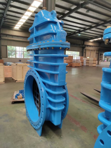 gate valve (1)