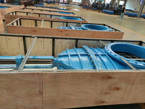 gate valve (2)