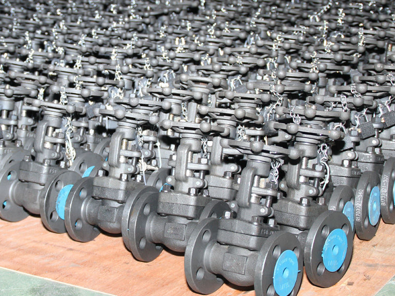 gate valve flanged