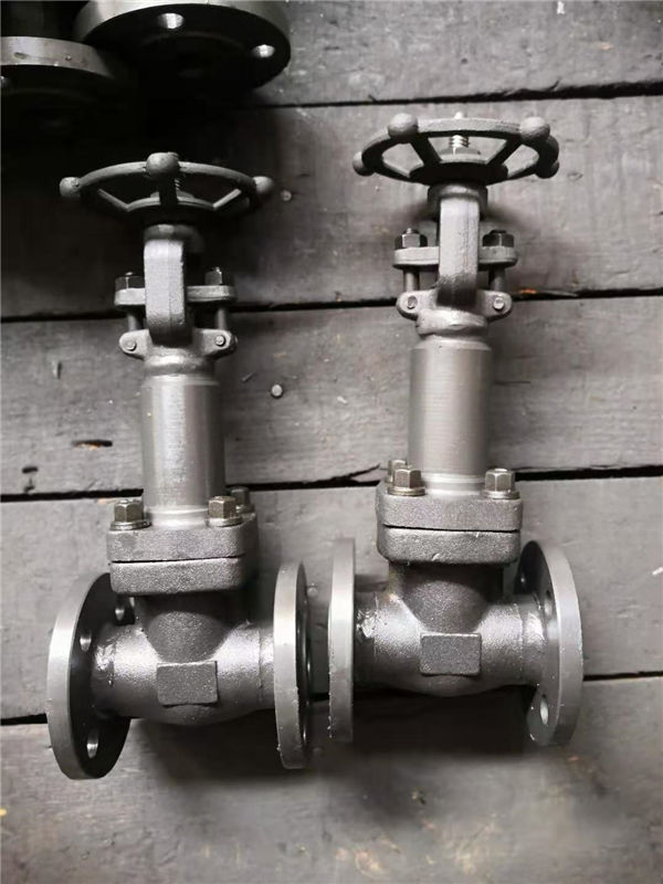 globe valve 02