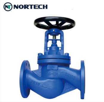 globe valve1