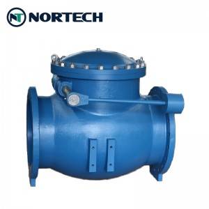 swing check valve with pneumatic actuator (2)