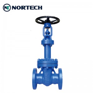 wedge-gate-valve-bellow-seal